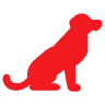 Dog Registration